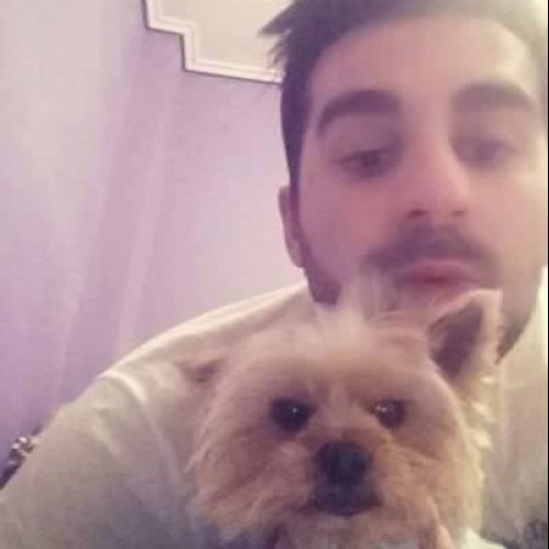 apostolos A.