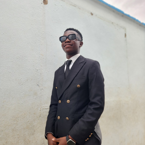 Sumonu O. profile photo