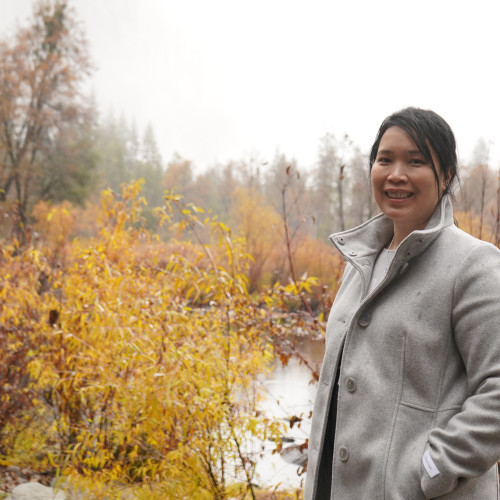 Tracy N. profile photo