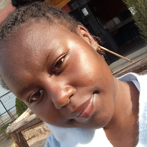 Susan N. profile photo