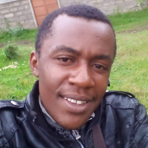 Dennis  N. profile photo