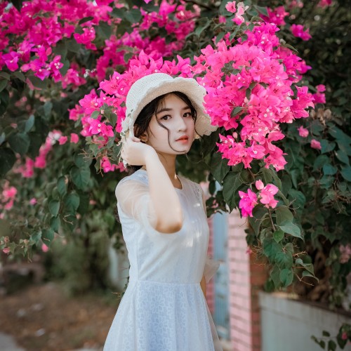 Farha A.