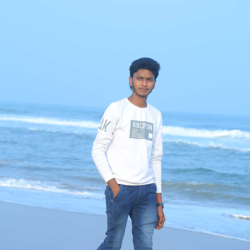 raju r. profile photo