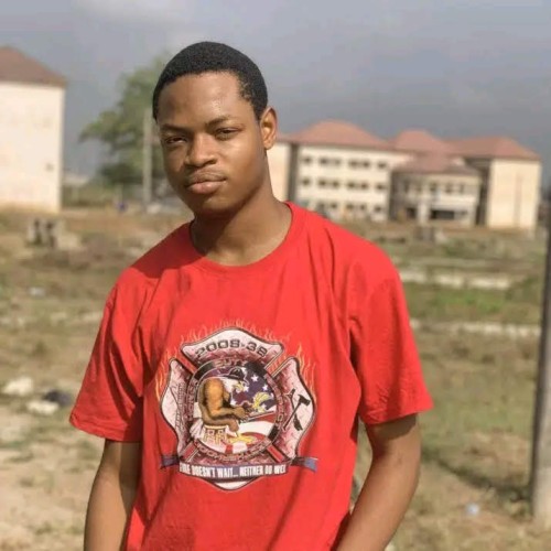 Chidozie I. profile photo