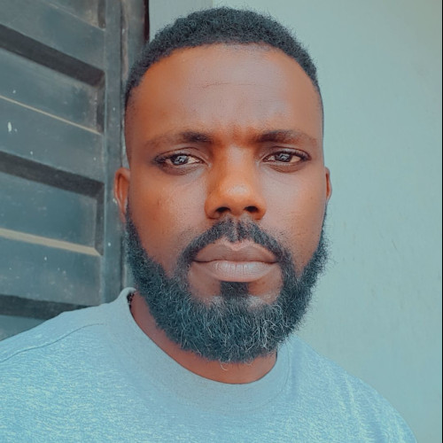 Okungbowa  L. profile photo