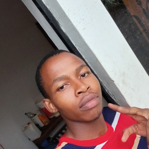 David  K. profile photo