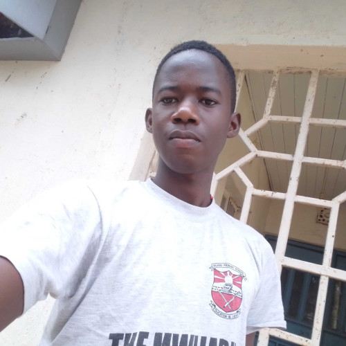 Shamza B. profile photo