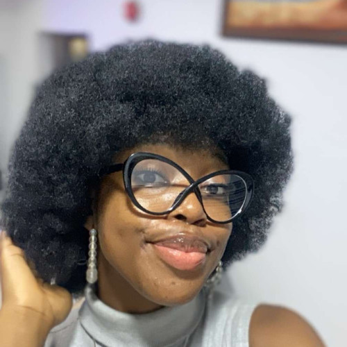 Oluwatamilore O. profile photo