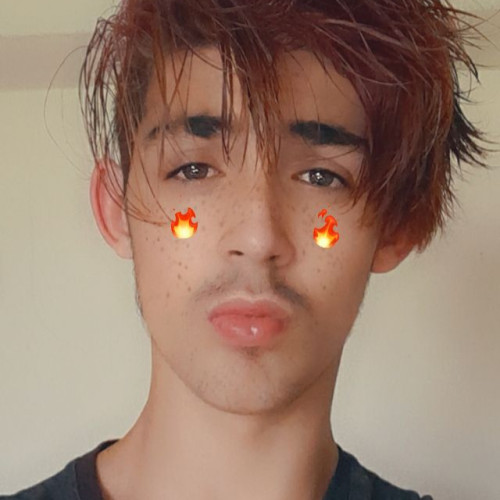 Teddy B. profile photo