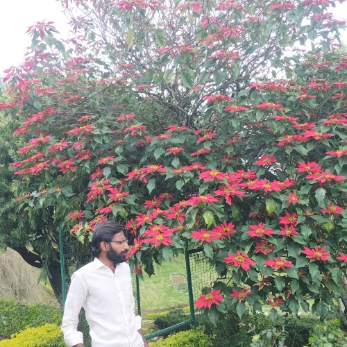 Prasanth M. profile photo