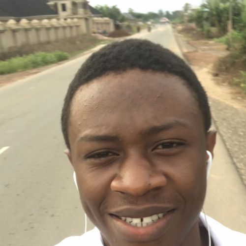 chimdiukwu Christian U. profile photo