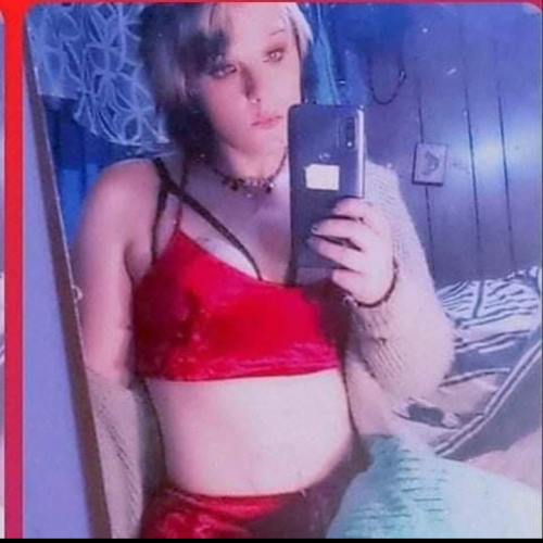 Taylor S. profile photo