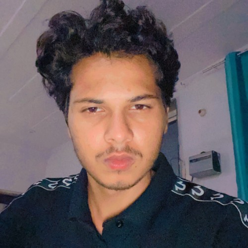 Kartik N.