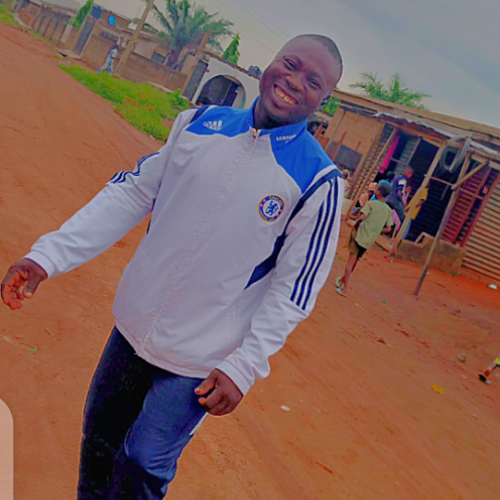 sowunmi k.
