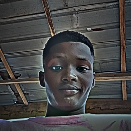 Samuel  A. profile photo