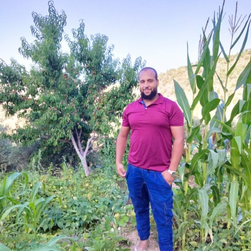 Errabity  R. profile photo