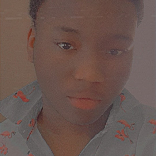 Lens J. profile photo