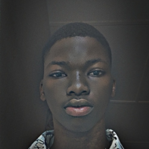 Ayeni  V. profile photo