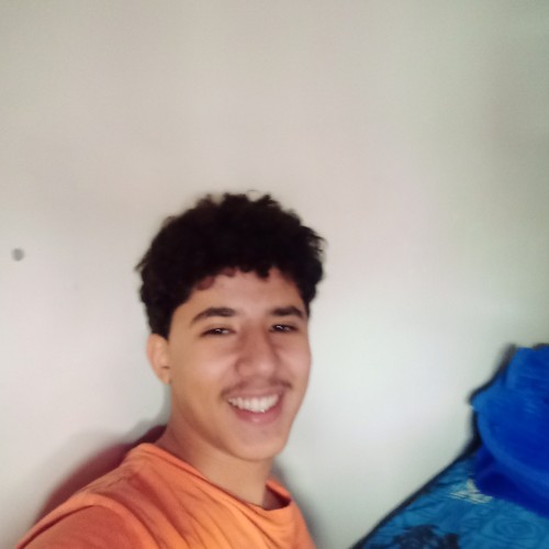 Mehdi M. profile photo