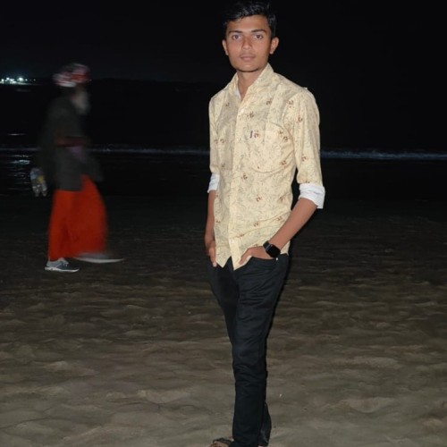 Hirendra  S.