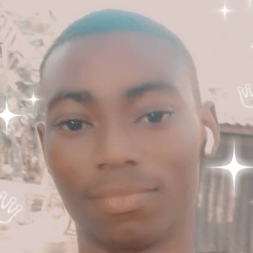 Emmanuel S. profile photo