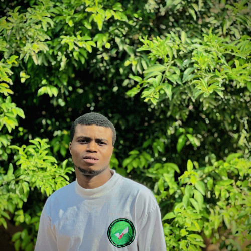 Ehizokhale  A. profile photo