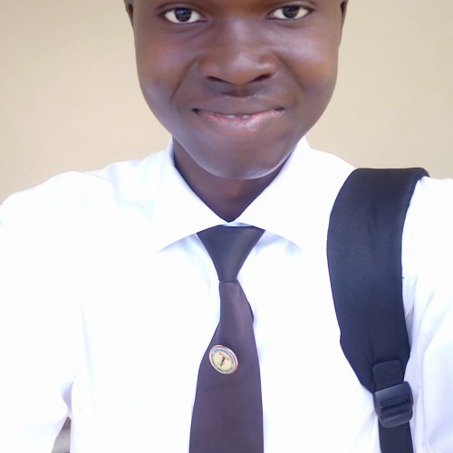 Muhyideen L. profile photo