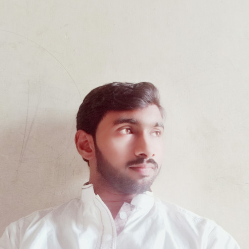 Muhammad Hasnain S.
