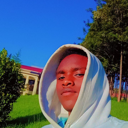 Daniel D. profile photo