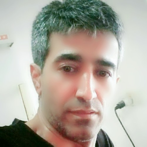 alireza s.