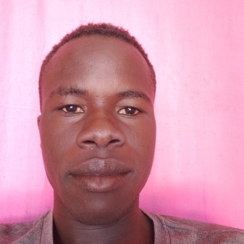 shalom s. profile photo