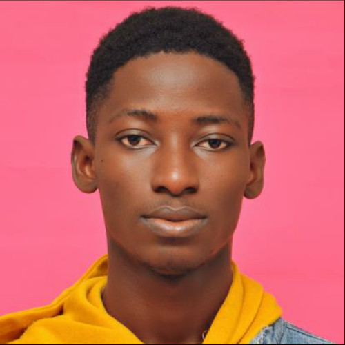 Alabi  V. profile photo