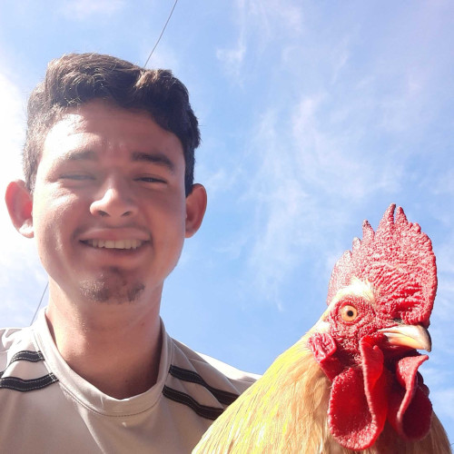 Marvin D. profile photo