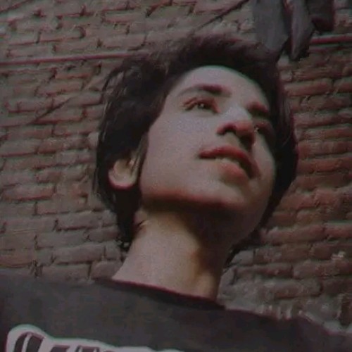 Daniel S. profile photo