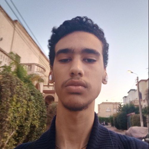 Ali M.