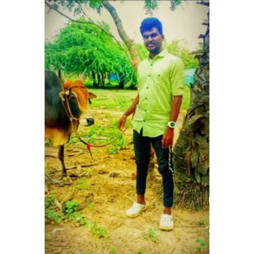 Sanjay  S. profile photo