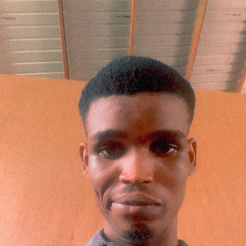 Adegboyega  J. profile photo