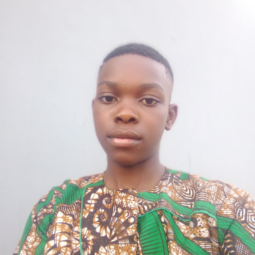 Chinonso N. profile photo