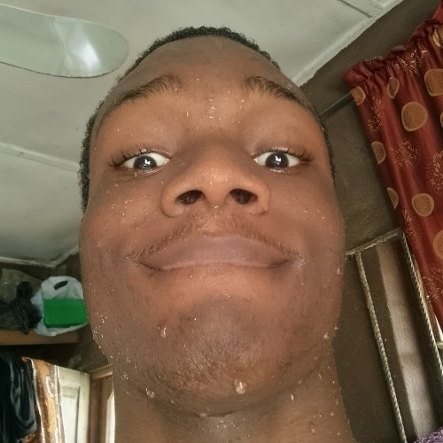 Theodore  J. profile photo