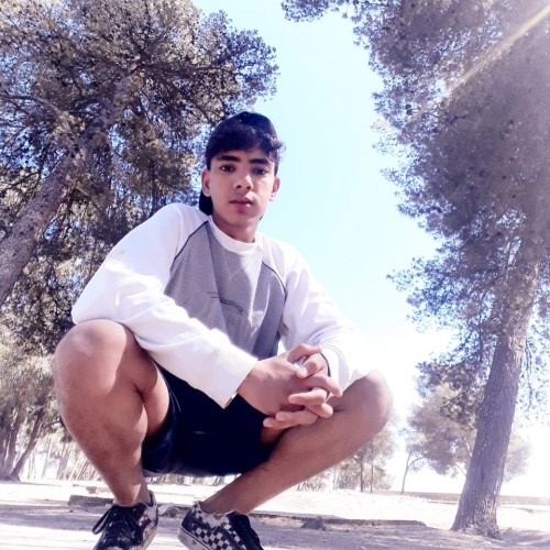 Ayman A.