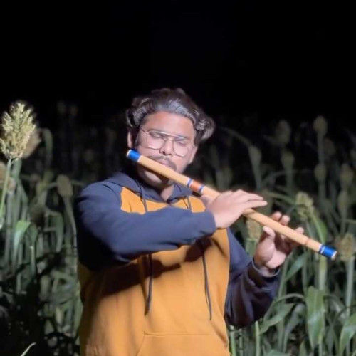 Dnyaneshwar p. profile photo