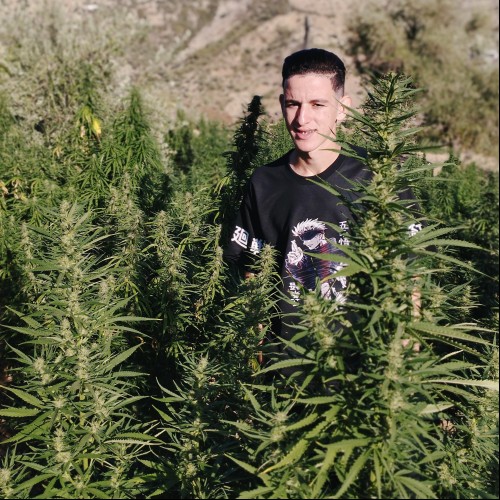 Mohamed  E. profile photo