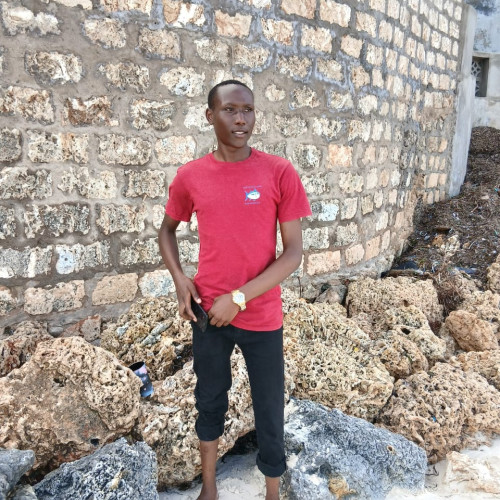 Kelvin K. profile photo
