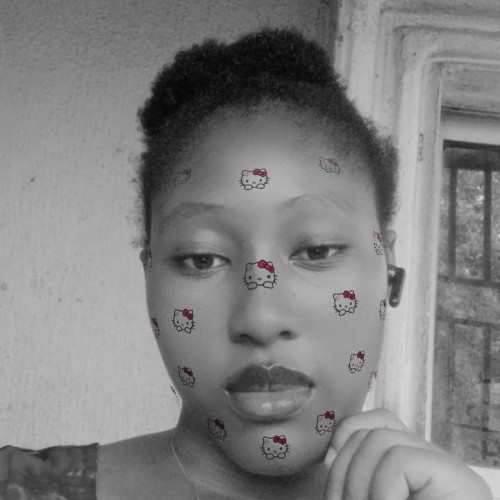 chijindu D. profile photo