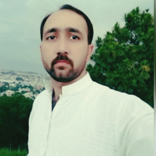 syed tanveer hussain shah s.