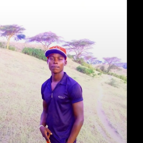 Otieno  V. profile photo