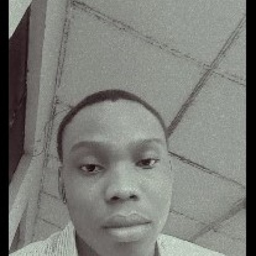 Ugochukwu S. profile photo