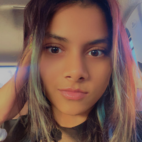 Nikita L. profile photo