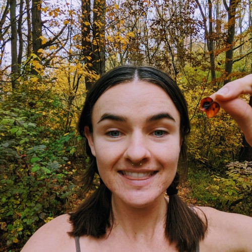 Sara D. profile photo