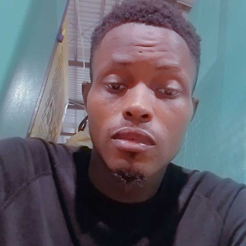 Vince N. profile photo